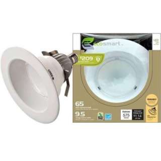 Led Light Bulbs For The Home from EcoSmart     Model 