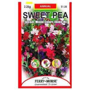 Ferry Morse Sweet Pea Jet Set Knee hi Mixed Seed 1159 at The Home 