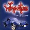 Teenage Dirtbag Wheatus  Musik