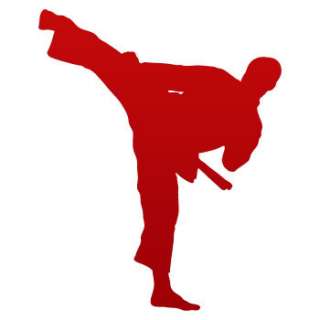 Karate Decal Sticker Martial Art Ju Jit Su Aikido ZK93W  