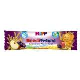 Hipp Müsli Freund Pflaume Apfel, 30er Pack (30 x 20 g)   Bio