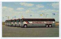 BAYONNE NJ n Elizabeth Domenico Tour Buses postcard  