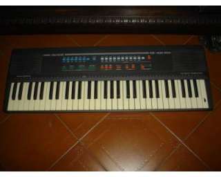 Organo tastiera Viscount KB400 a Alba    Annunci