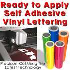 Adhesive Vinyl Lettering Words Letters Signwriting