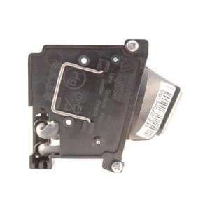  OEM REPLACEMENT LAMP Electronics