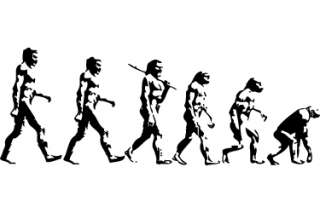 DARWINS EVOLUTION OF MAN WALL ART STICKER DECALS  