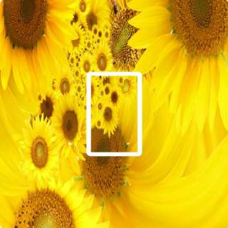 YELLOW SUNFLOWER,FLORAL LIGHT SWITCH COVER,STICKER,SKIN  