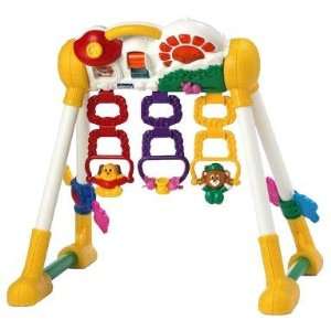  Chicco Lights and Sounds Activity Gym Toys & Games