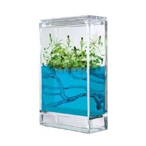  Forest Ant Ecoterrarium   Ant Farm with Plants (GBA03 