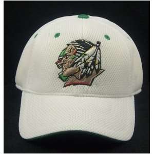  North Dakota Fighting Sioux White Elite One Fit Hat 