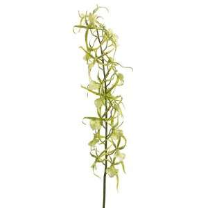  Pack of 6 Artificial Green Brassia Orchid Silk Flower 