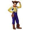 Boys Toy Story   Woody Deluxe Costume   X Small