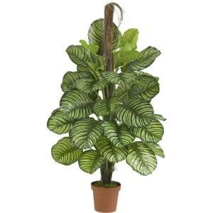   Calathea Silk Plant (Real Touch) Green Colors   Silk Plant Home