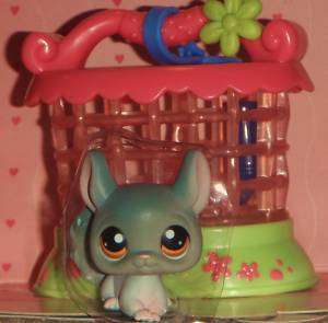 Littlest Pet Shop #144 Grey CHINCHILLA + Cage~♥~  
