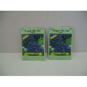  Forget me not Chinese Seeds (2 Packs) Patio, Lawn 