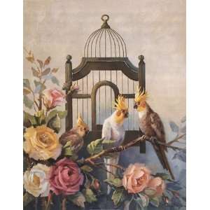  Cockatiel and Roses   Poster by Maxine Johnston (22x28 