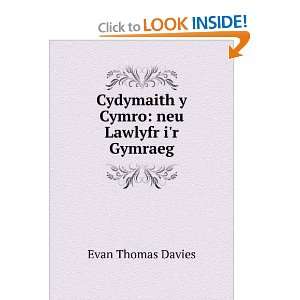   Cydymaith y Cymro neu Lawlyfr ir Gymraeg Evan Thomas Davies Books