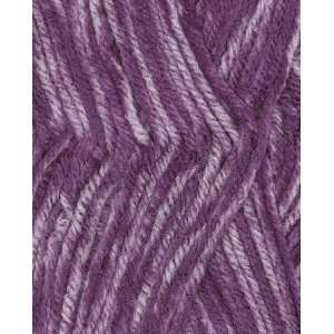  Lion Brand Value Vannas Choice Yarn 303 Purple Mist Arts 