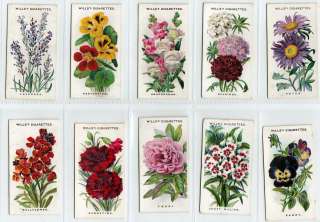 Complete Set of 50 OLD ENGLISH GARDEN FLOWERS Cards from 1910  