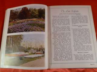   Book 1931 Beauty From Bulbs Flowers Plants Daffodil Tulips Lilies Iris