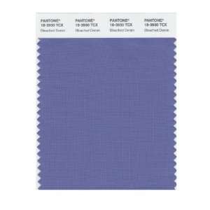   SMART 18 3930X Color Swatch Card, Bleached Denim