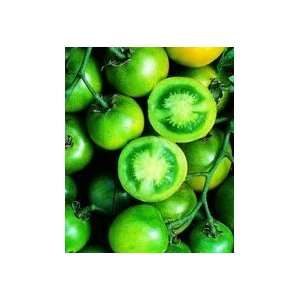  Green Grape Tomato   48 Plants   Great for Salads Patio 