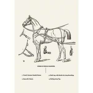  Vintage Art Single Harness Horse   06566 4