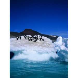  Iceberg and Adelie Penguins, Antarctica, Polar Regions 