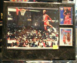 Michael Jordan The Dunk Chicago Bulls 12x15 Plaque  