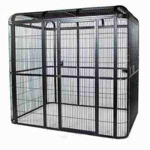  Walk in Indoor Aviary 62x62 for Medium to Large Parrots 