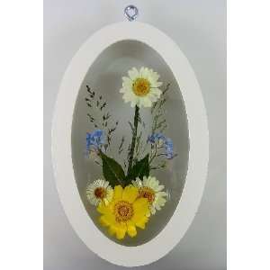  Arrrangement   with Real Preserved Colorful Daisies, Spear Grass 