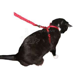    Come With Me Kitty Harness & Bungee Leash Red Lg