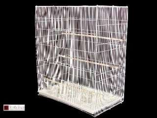 HUGE GOA FLIGHT CAGE FOR FINCHES BUDGIES CANARIES & SMALL PARROTS FREE 