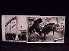 AMAZING photo postcards Bear on Piano, Diving Horse