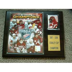 2008 Stanley Cup Champions Detroit Red wings mounted 