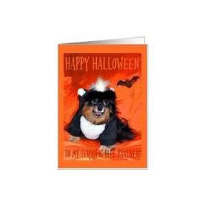  Halloween to Life Partner, Pomeranian in skunk costume 