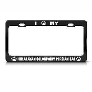  Himalayan/Colorpoint Persian Cat Metal License Plate Frame 