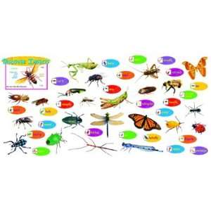   Pack TREND ENTERPRISES INC. DISCOVER INSECTS MINI BBS 