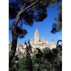 The Cathedral Framed by Pine Trees, Segovia, Castilla Y Leon, Spain 