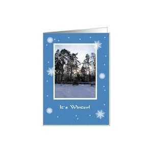  Seasons   Winter, Trees In Snow Card Health & Personal 