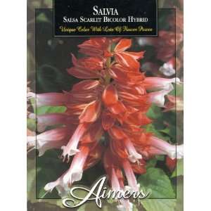  Aimers 3266 Salvia Salsa Scarlet Bicolor Seed Packet 