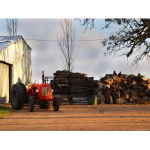 Farm with Old Red Tractor and Firewood, Montevideo, Uruguay Premium 
